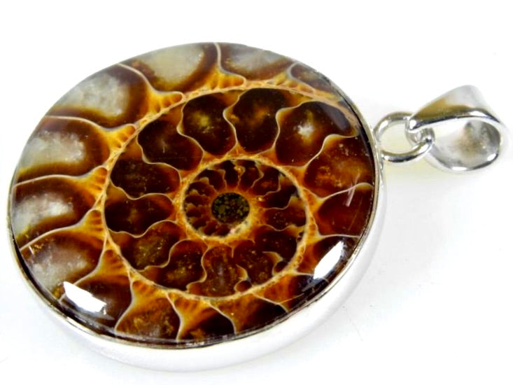 Ammonite Round And Oval Cabochon Pendants For Sale