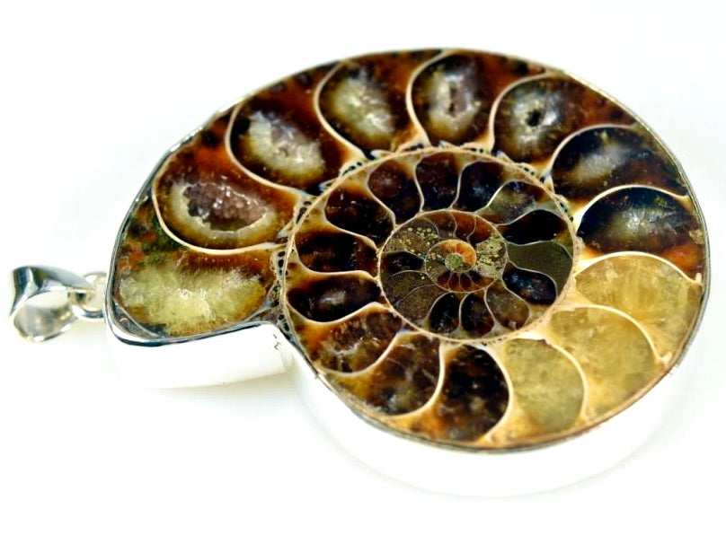 Ammonite Pendants For Sale: Silver-Set Cut Ammonite Halves