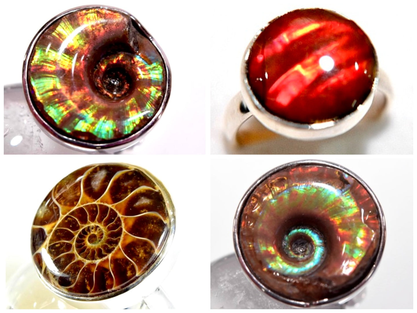 Ammonite Rings For Sale