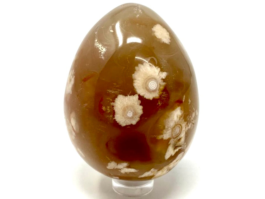 Cherry Blossom Agate Eggs For Sale