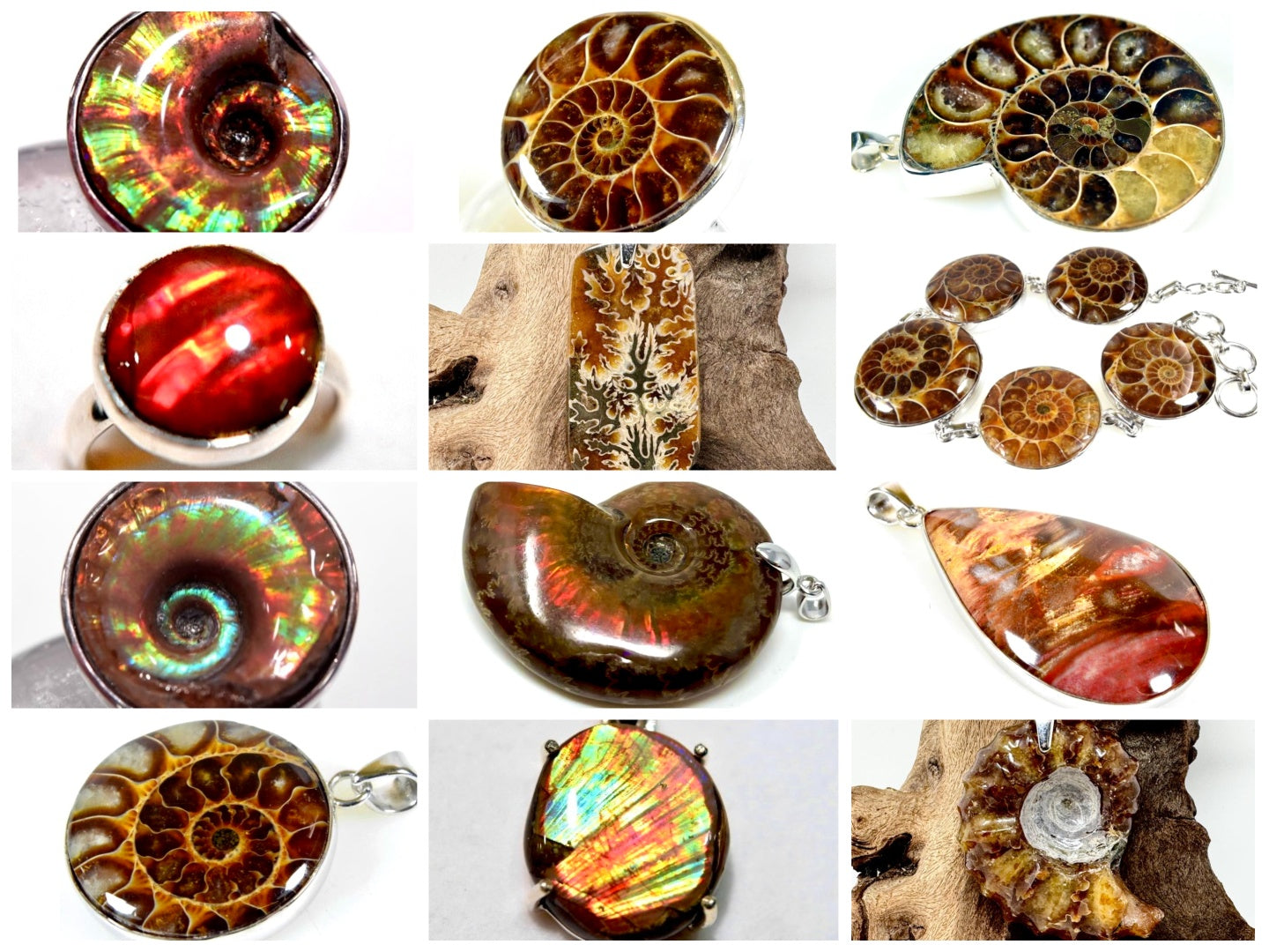 Fossil Jewellery For Sale