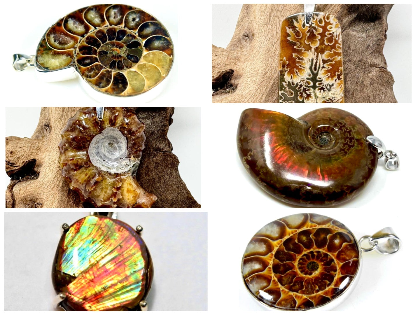 Ammonite Pendants For Sale