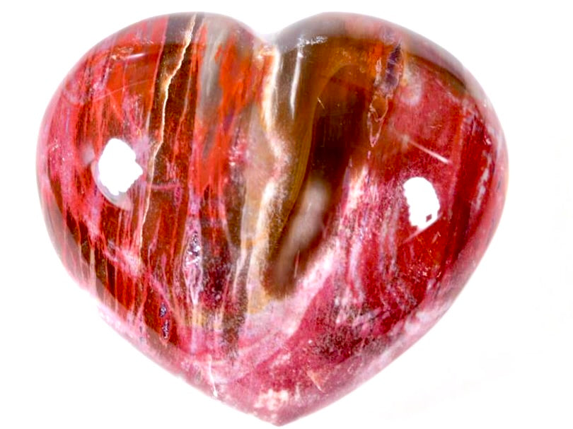 Fossil Wood Hearts For Sale