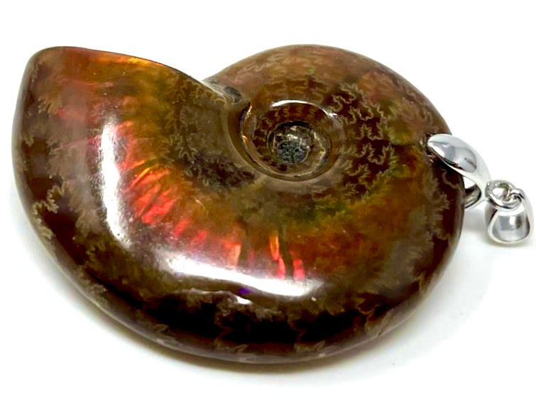 Iridescent Ammonite Pendants For Sale