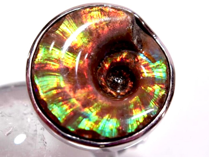 Iridescent Ammonite Round Rings For Sale