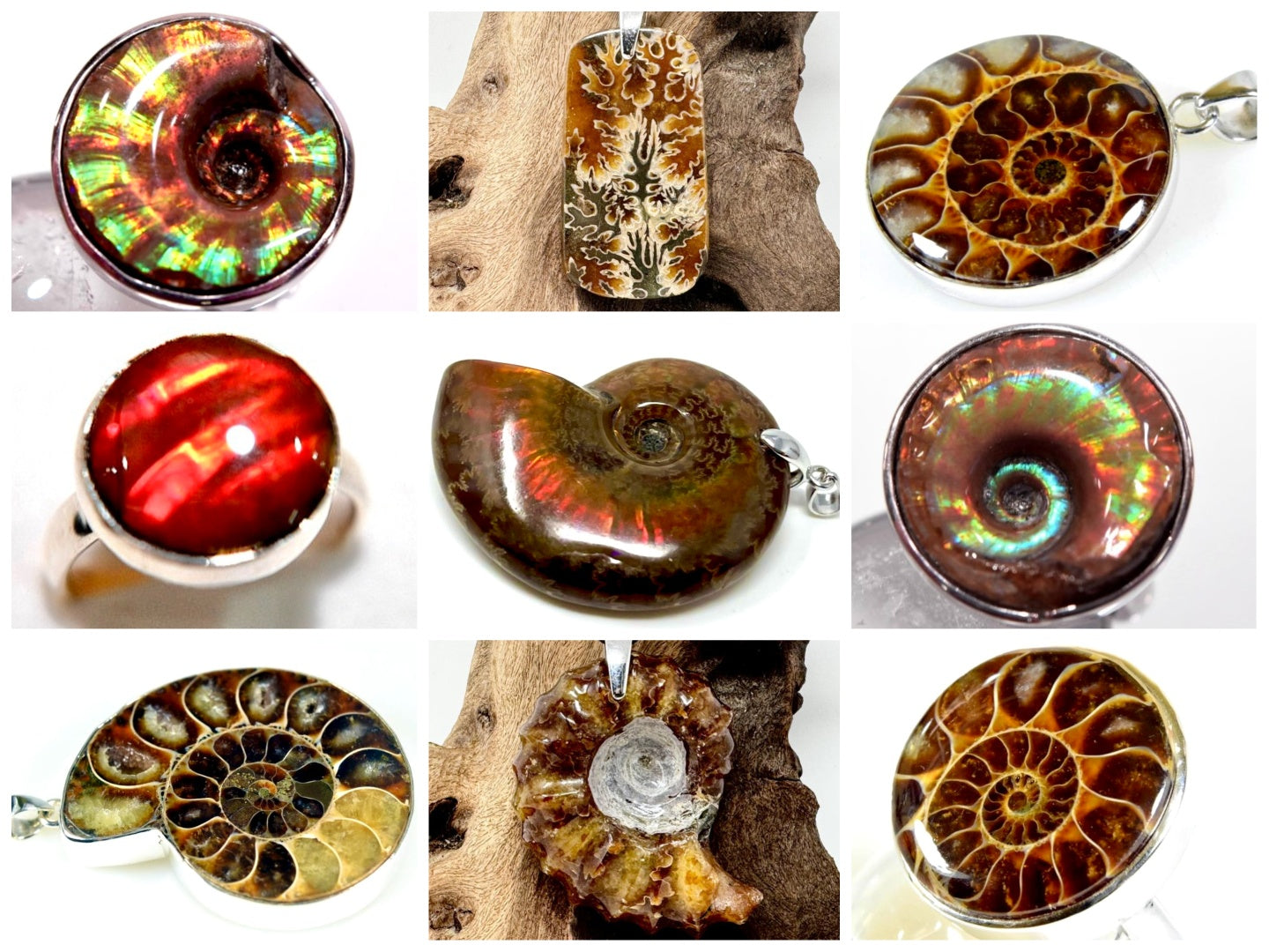 Ammonite Jewellery For Sale