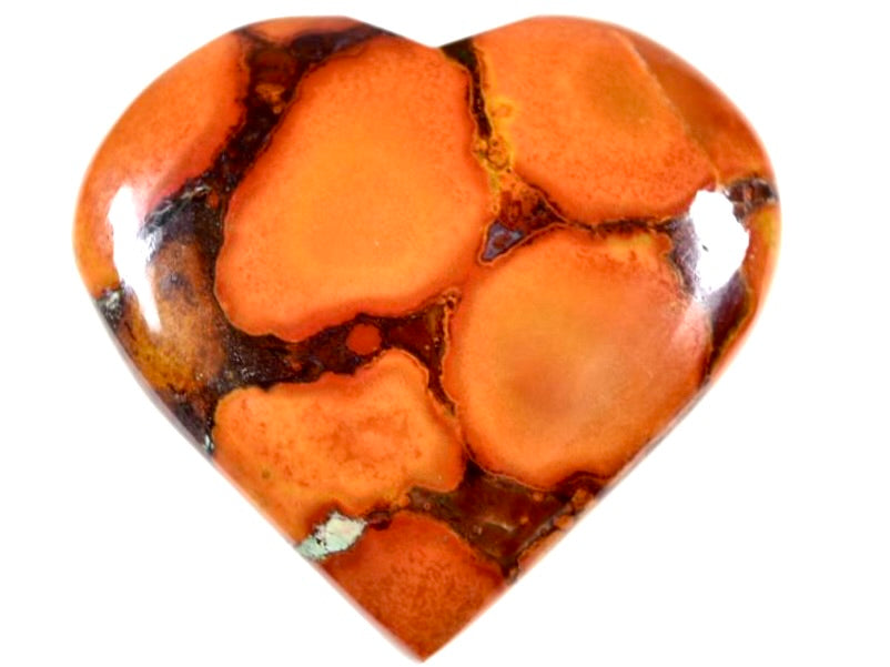 King Cobra Jasper Hearts For Sale