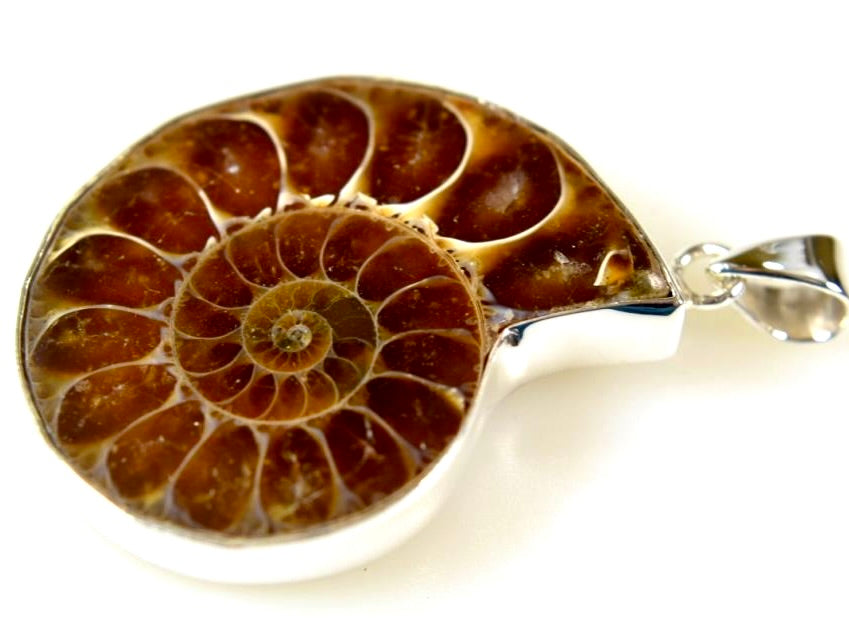 Ammonite Pendants For Sale: Medium Silver-Set Cut Ammonite Halves