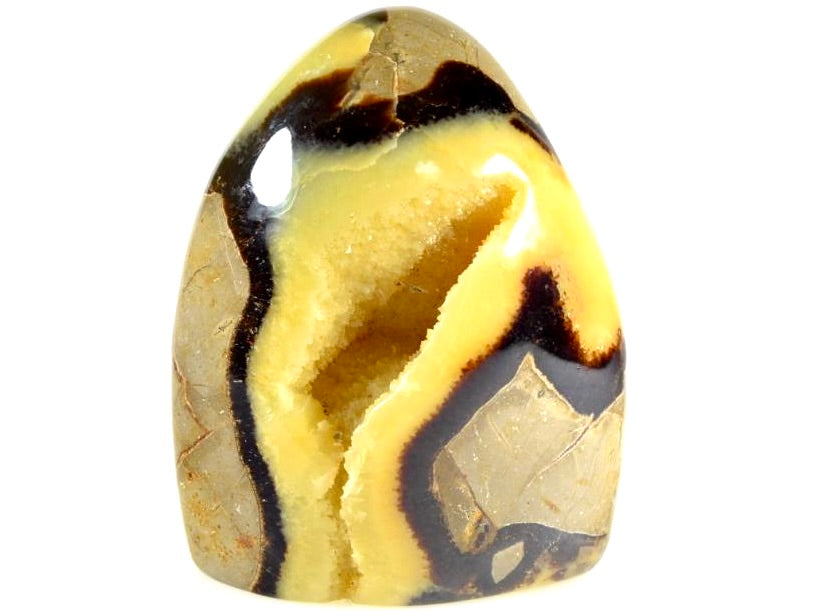 Yellow Septarian Freeforms For Sale