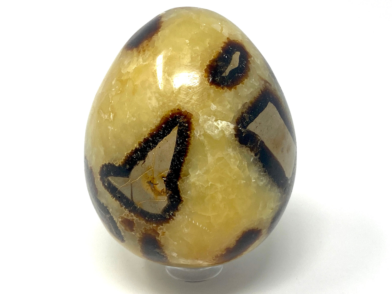 Yellow Septarian Eggs For Sale