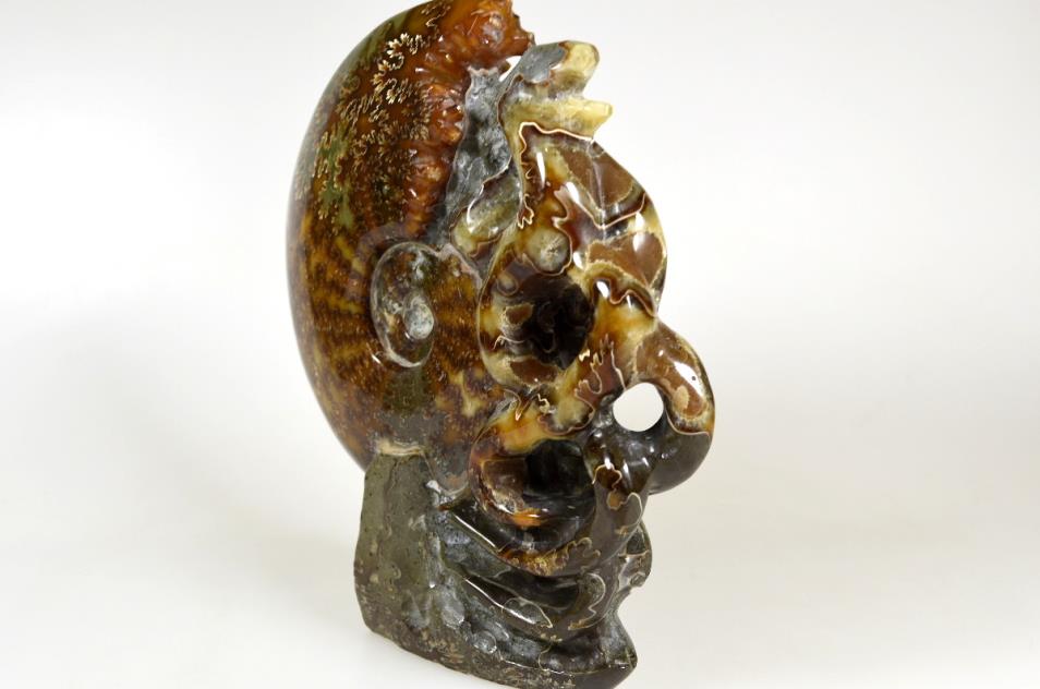 Ammonite Carving Large 17.5cm