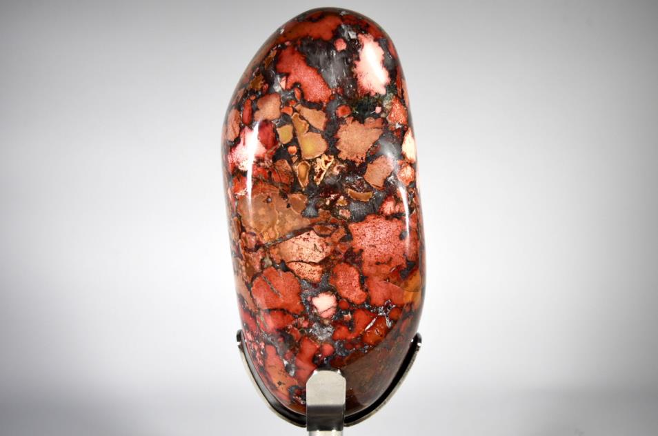 King Cobra Jasper Mounted Crystal Freeform Large 25.7cm