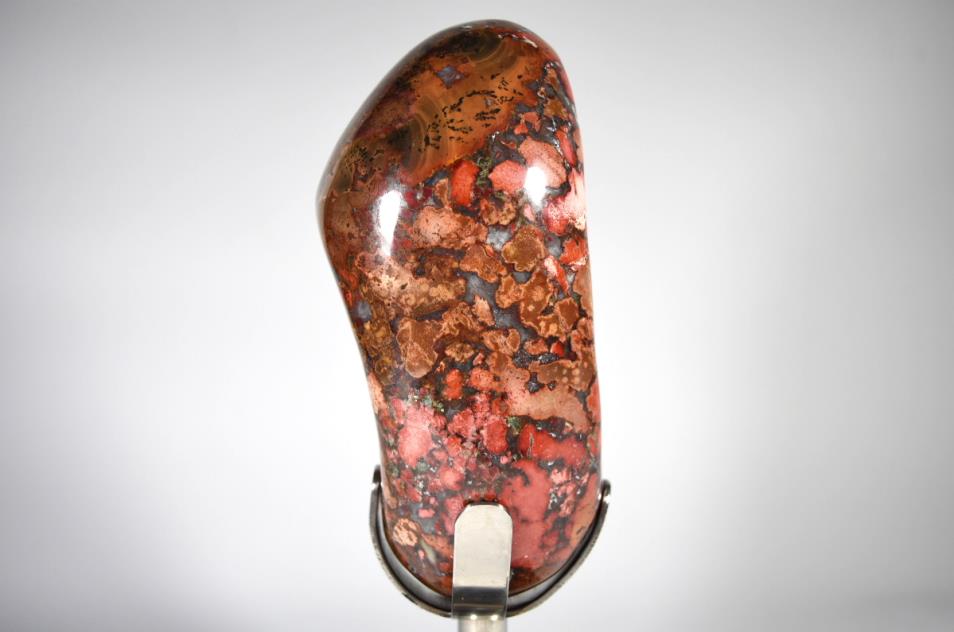 King Cobra Jasper Mounted Crystal Freeform Large 25.7cm