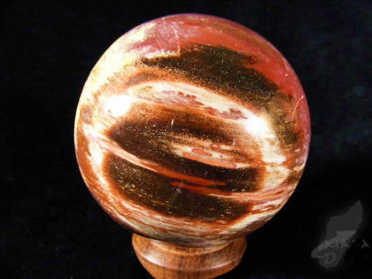 Fossil Wood Sphere 6.2cm