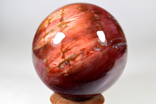 Fossil Wood Sphere Large 9.5cm