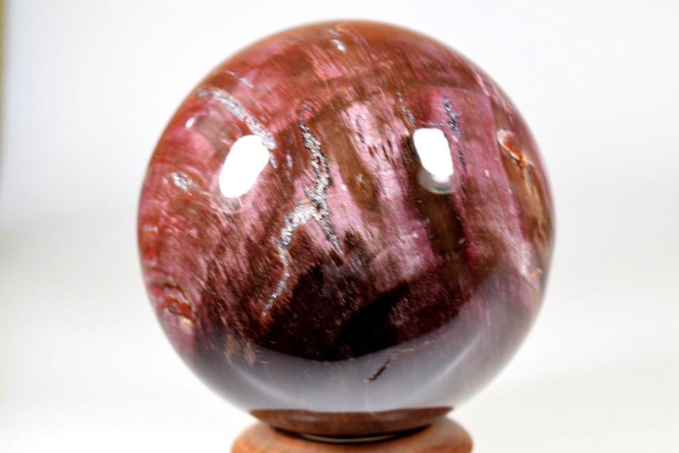 Fossil Wood Sphere Large 9.5cm