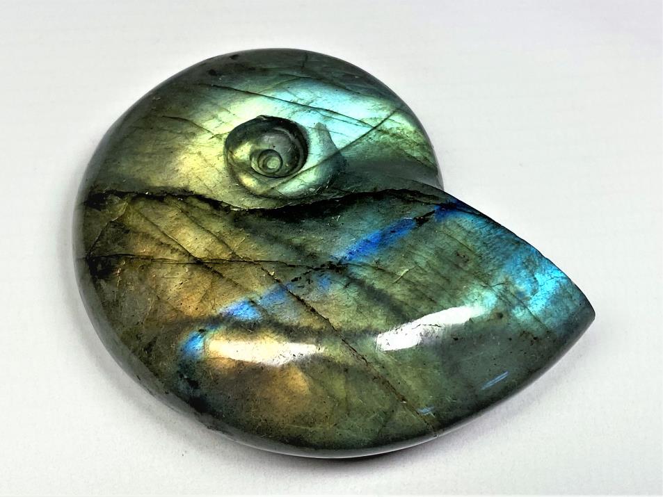 Labradorite Ammonite Crystal Carving 6cm