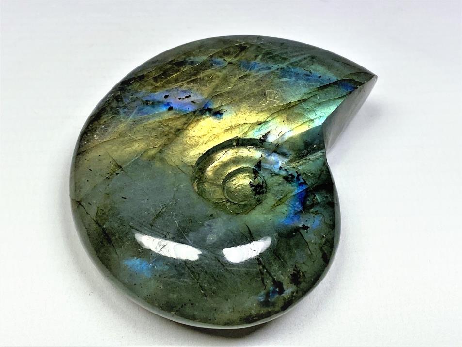 Labradorite Ammonite Crystal Carving 6cm