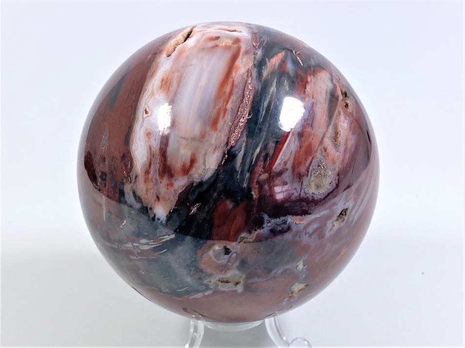 Fossil Wood Sphere Large 10.5cm