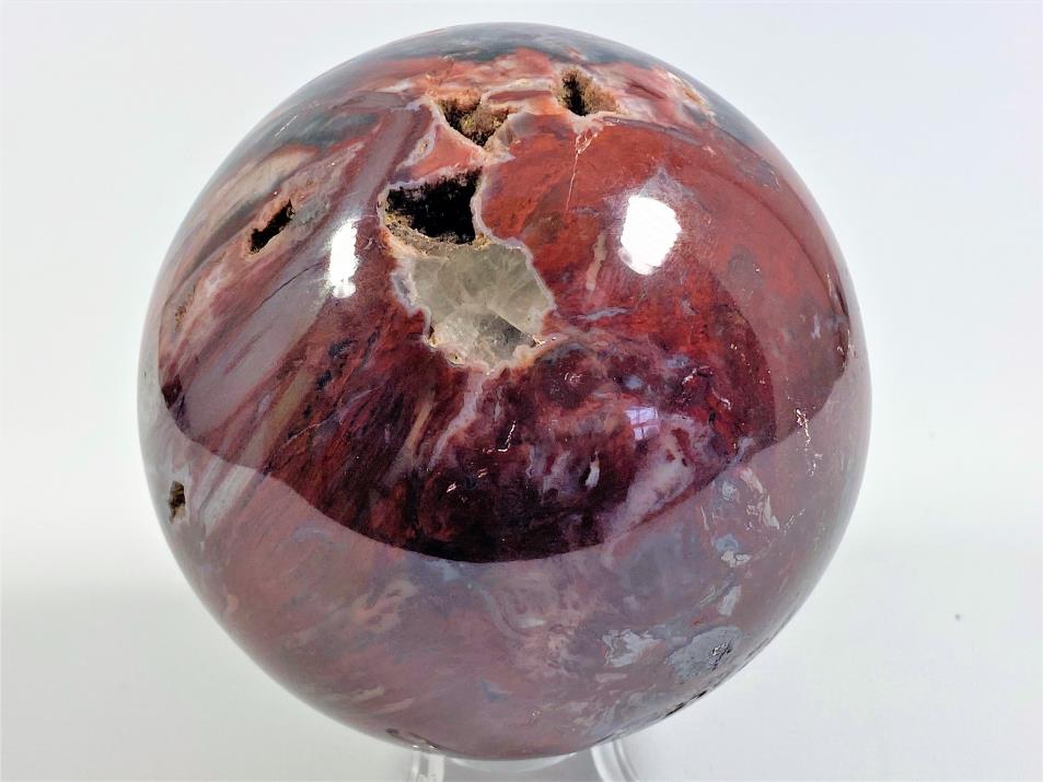 Fossil Wood Sphere Large 10.5cm