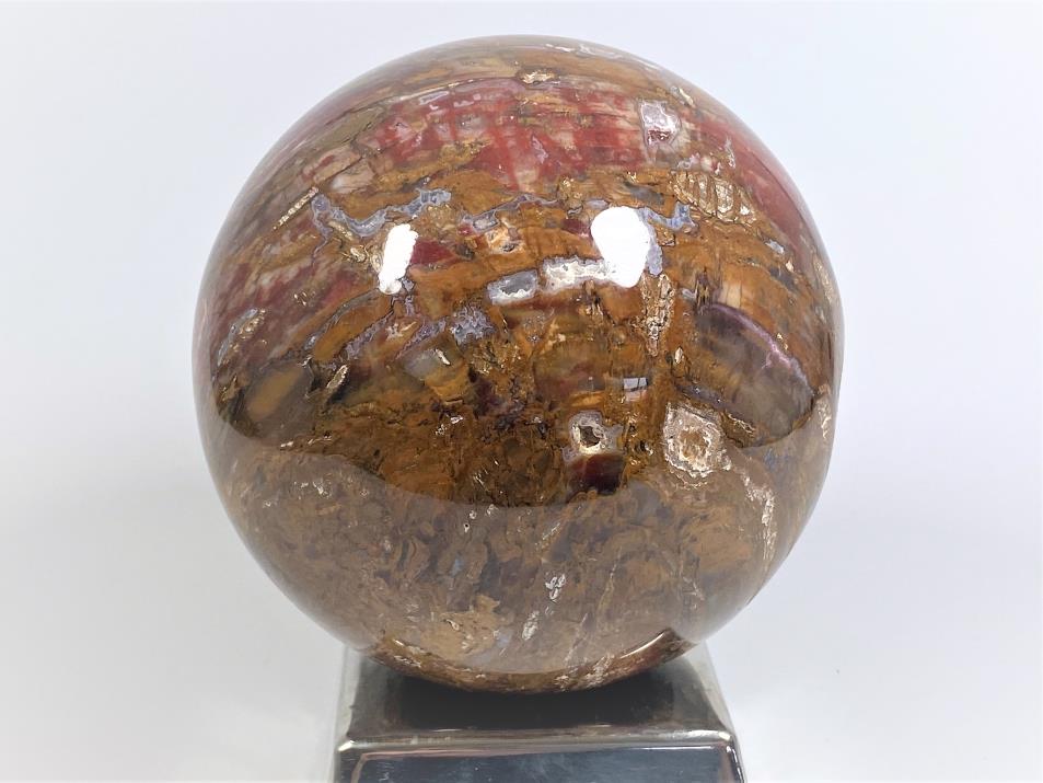 Fossil Wood Sphere Large 13.1cm