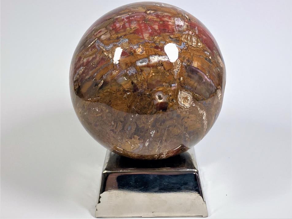 Fossil Wood Sphere Large 13.1cm