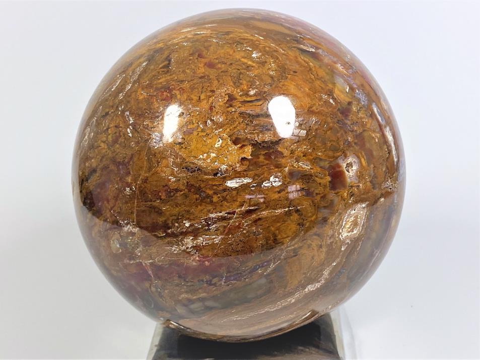 Fossil Wood Sphere Large 13.1cm