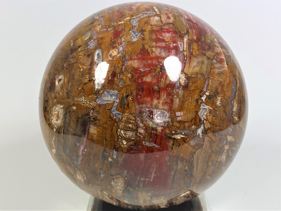 Fossil Wood Sphere Large 13.1cm