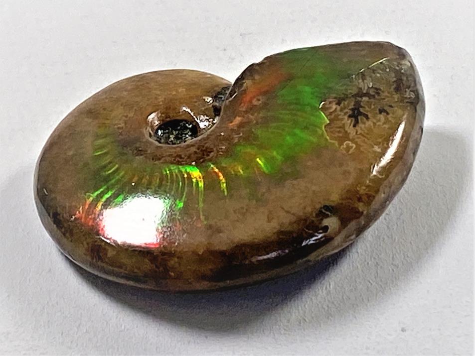 Red Iridescent Ammonite Fossil 4.4cm