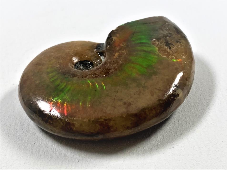 Red Iridescent Ammonite Fossil 4.4cm