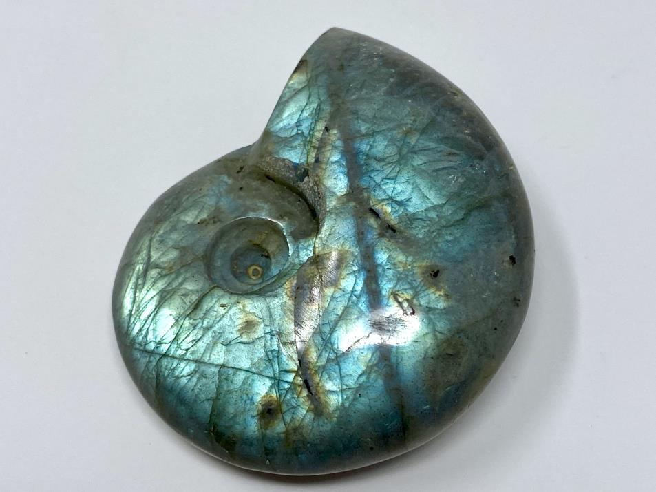 Labradorite Ammonite Crystal Carving 5.6cm