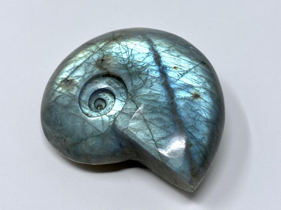 Labradorite Ammonite Crystal Carving 5.6cm