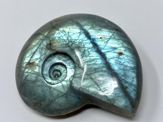 Labradorite Ammonite Crystal Carving 5.6cm