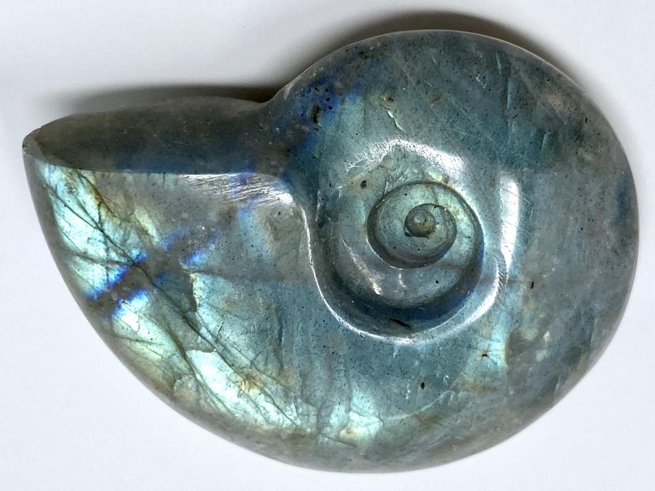 Labradorite Ammonite Crystal Carving 4.4cm