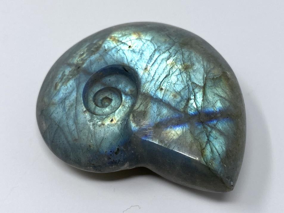 Labradorite Ammonite Crystal Carving 4.4cm