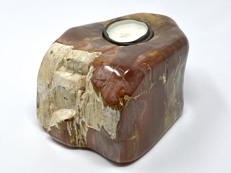 Fossilised Wood Tea Light 17cm