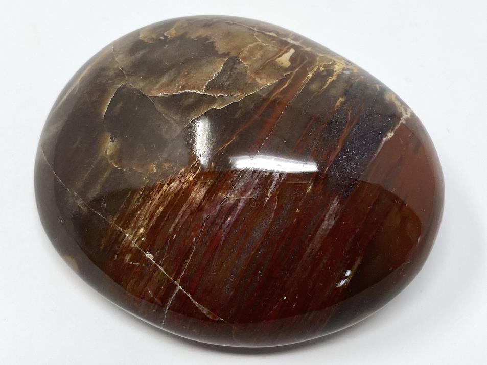 Fossil Wood Pebble 6.1cm