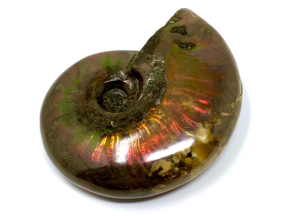 Red Iridescent Ammonite Fossil 5.2cm