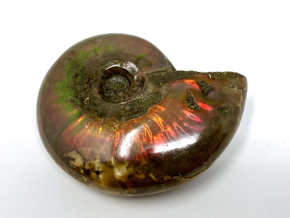 Red Iridescent Ammonite Fossil 5.2cm