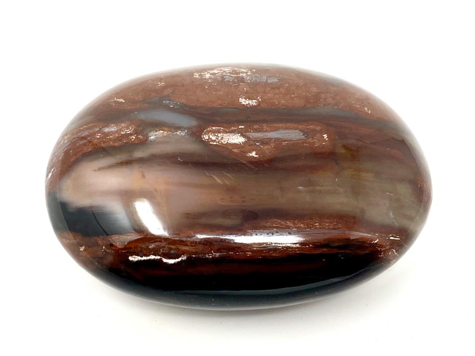 Fossil Wood Pebble 6.6cm