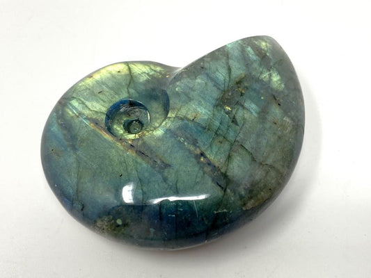 Labradorite Ammonite Crystal Carving 5.3cm