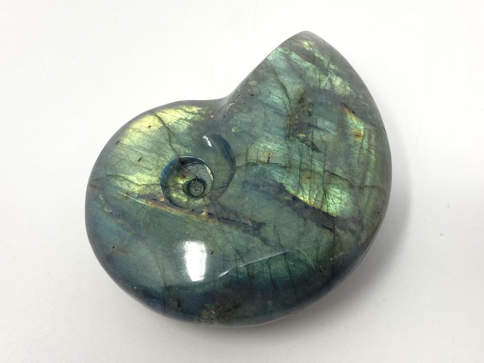 Labradorite Ammonite Crystal Carving 5.3cm