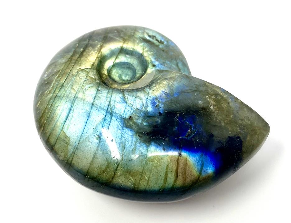 Labradorite Ammonite Crystal Carving 5.1cm