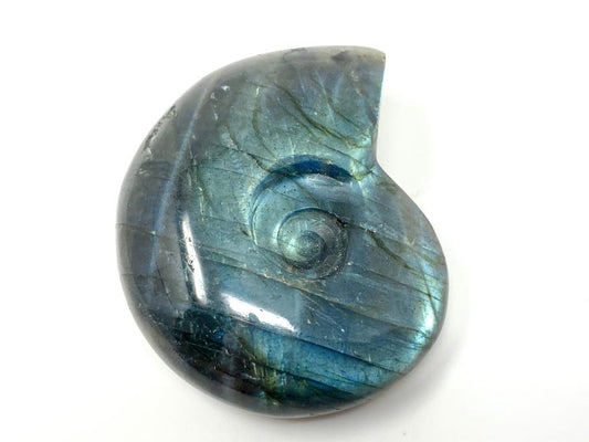 Labradorite Ammonite Crystal Carving 5.1cm