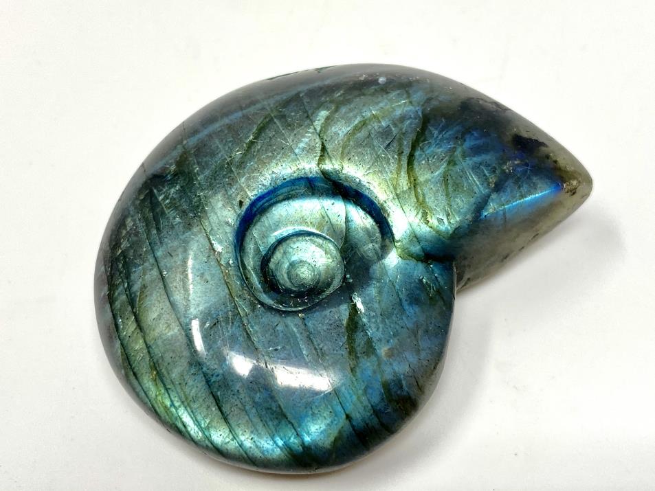 Labradorite Ammonite Crystal Carving 5.1cm