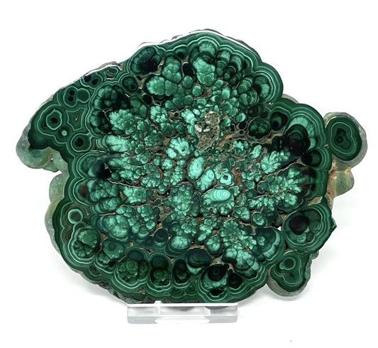 Malachite Crystal Slice Large 13cm