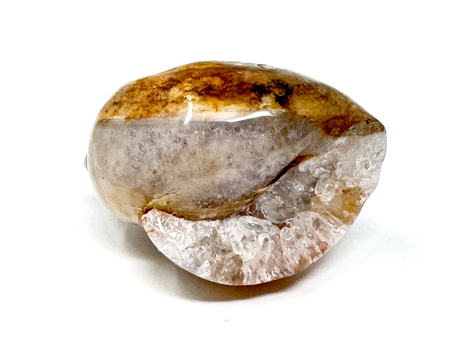 Druzy Agatized Gastropod Fossil Polished 4.4cm