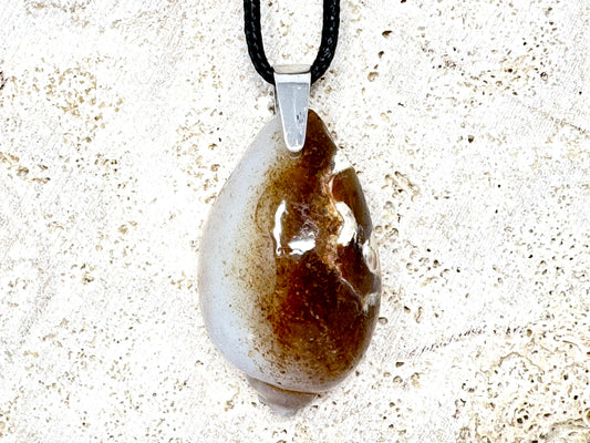 Agatized Gastropod Fossil Pendant 3.8cm