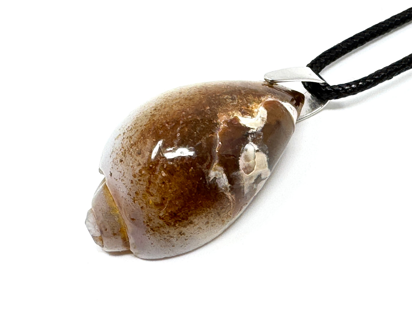 Agatized Gastropod Fossil Pendant 3.8cm