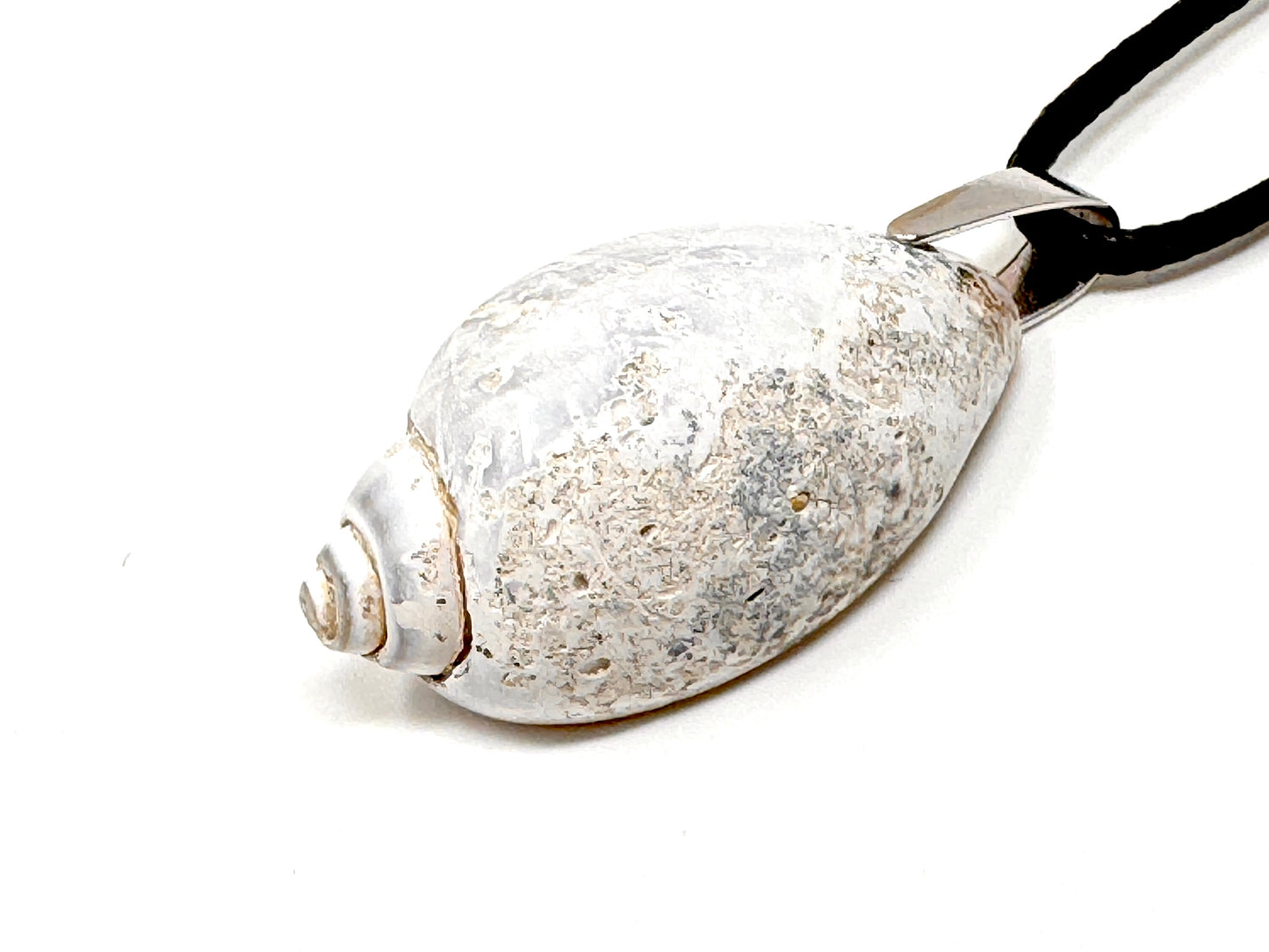 Agatized Gastropod Fossil Pendant 3.7cm